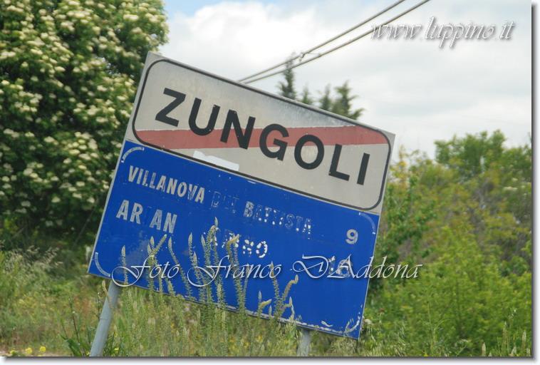 Sei già all'ultima foto